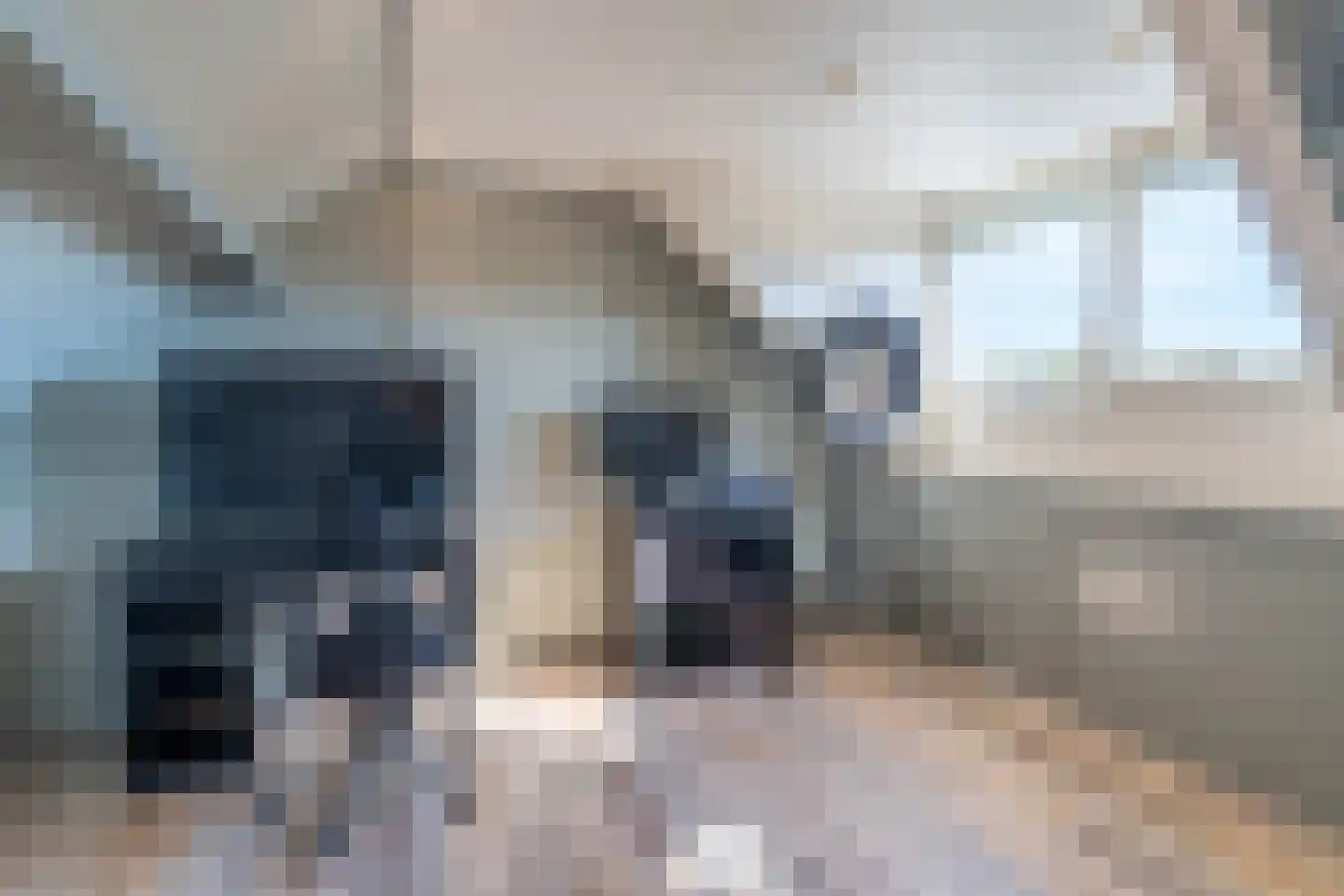 Vossestaart 8 Venray thumbnail 45