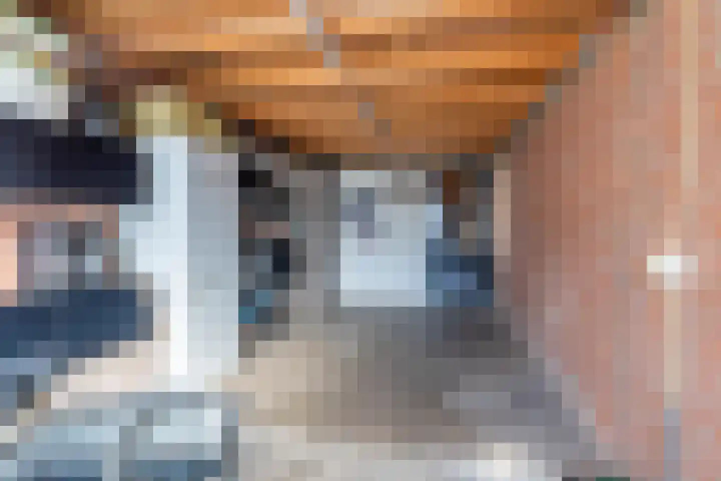 Vossestaart 8 Venray thumbnail 48
