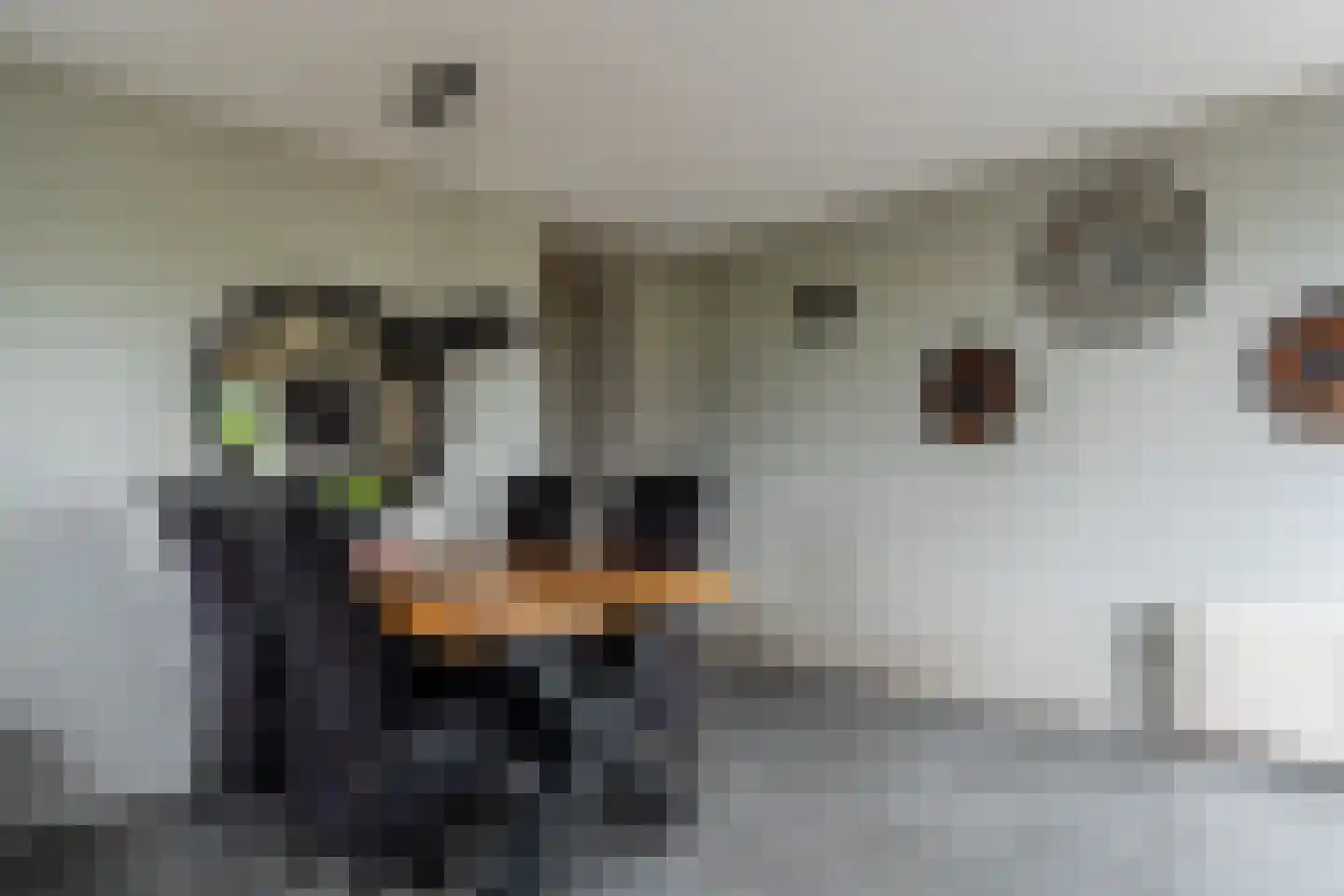 Vosseveld 4 Veendam thumbnail 19