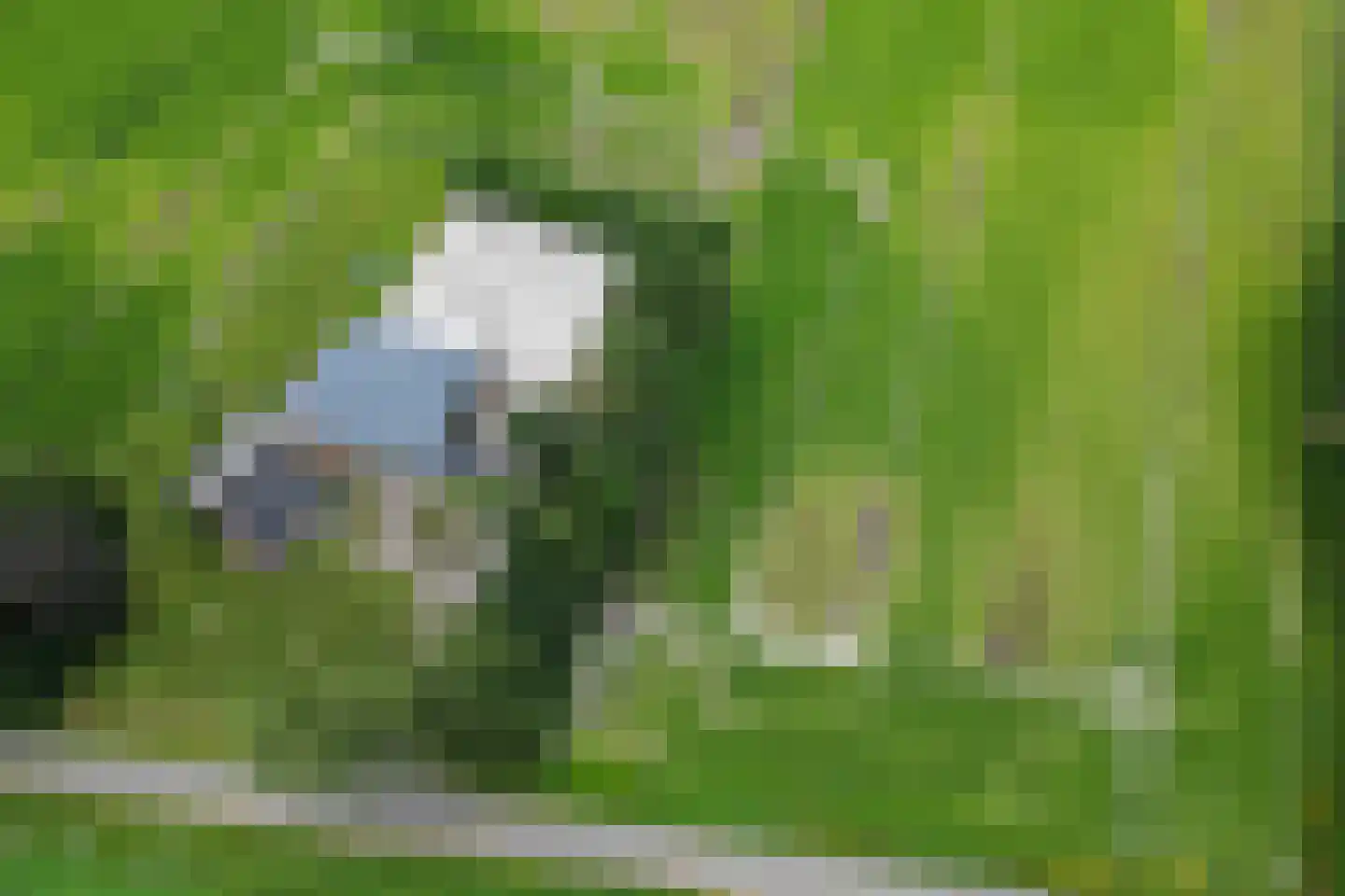 Vosseveld 4 Veendam thumbnail 55