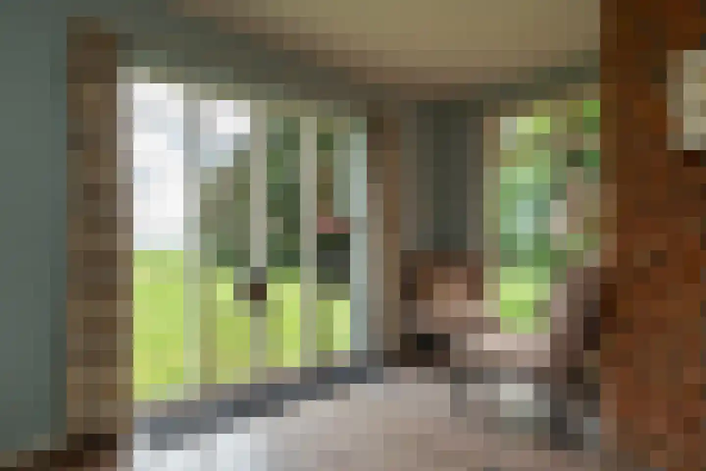 Vosseveld 4 Veendam thumbnail 6