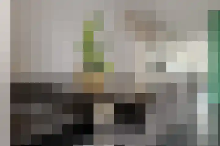 Vosseveld 40 Zwolle thumbnail 16