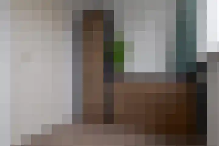 Vosseveld 40 Zwolle thumbnail 41
