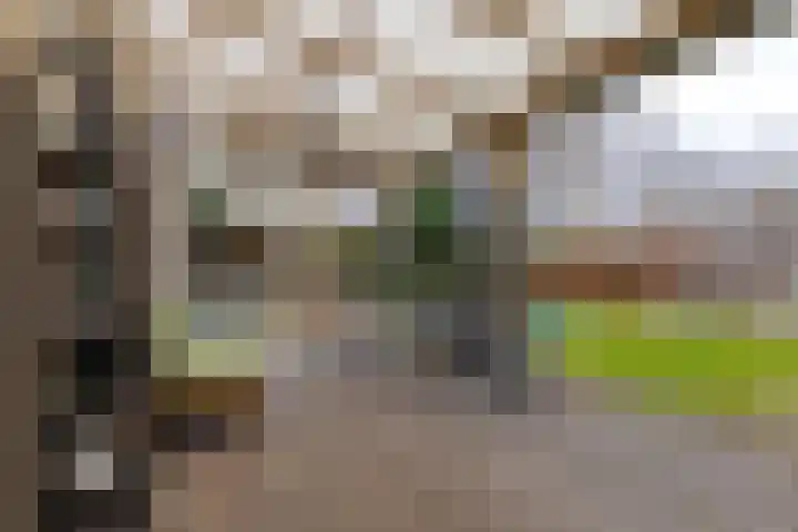 Vosseveld 40 Zwolle thumbnail 44