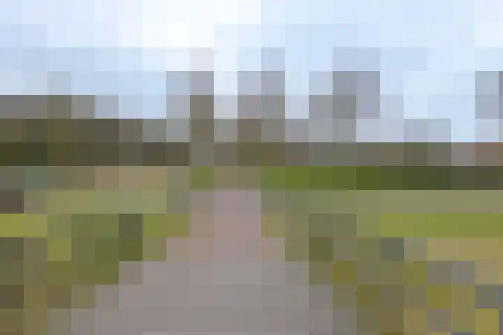 Vosseveld 40 Zwolle thumbnail 53