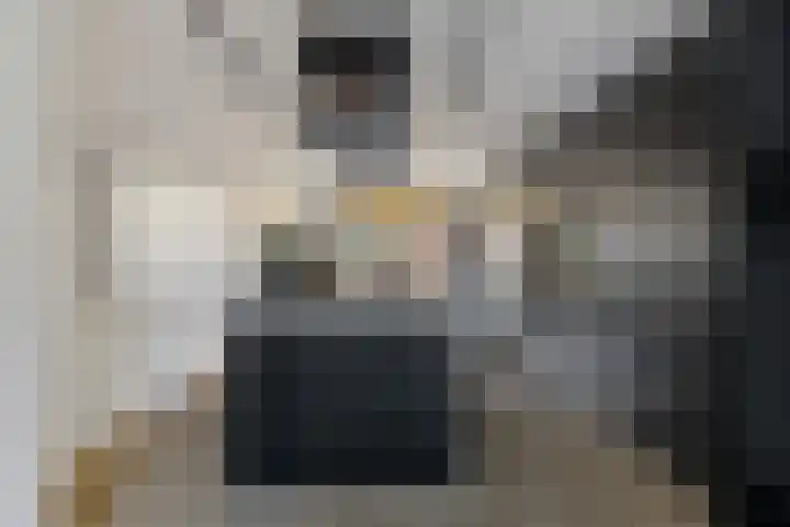 Vosseveldlaan 21 Soest thumbnail 10