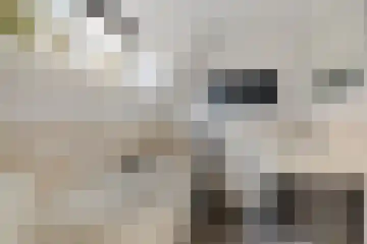Vosseveldlaan 21 Soest thumbnail 13