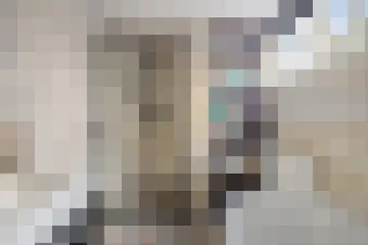 Vosseveldlaan 21 Soest thumbnail 14