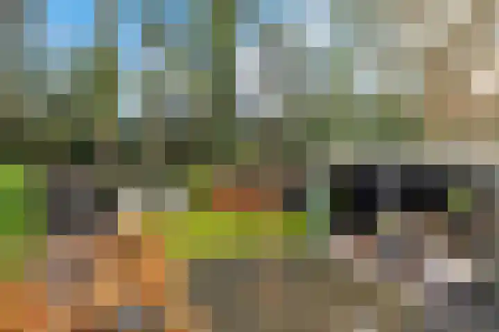 Vosseveldlaan 21 Soest thumbnail 23