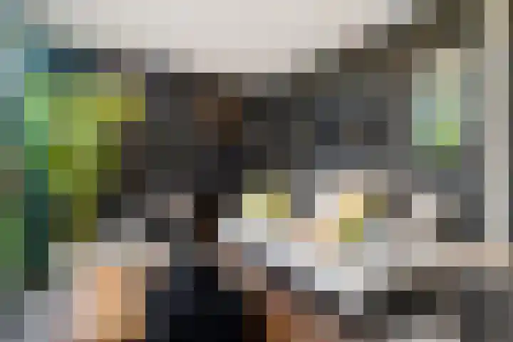 Vosseveldlaan 21 Soest thumbnail 24
