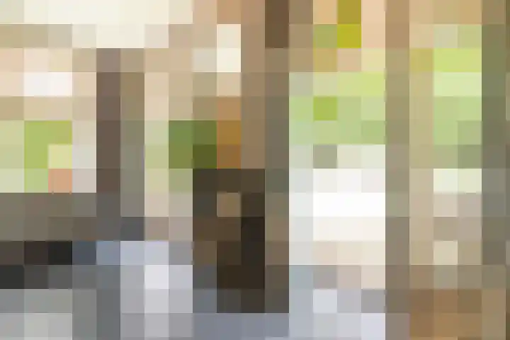Vosseveldlaan 41 A Soest thumbnail 13