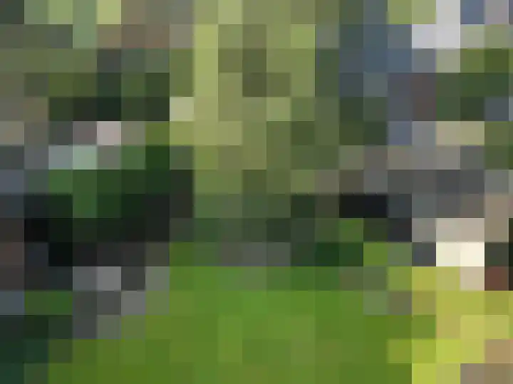 Vosseveldlaan 41 A Soest thumbnail 18