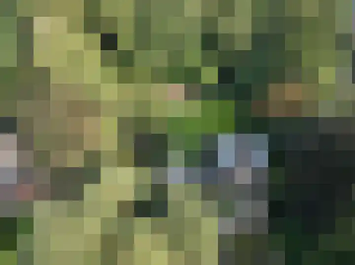 Vosseveldlaan 41 A Soest thumbnail 19