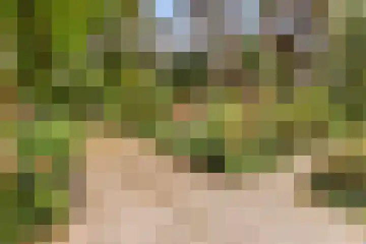 Vosseveldlaan 41 A Soest thumbnail 4