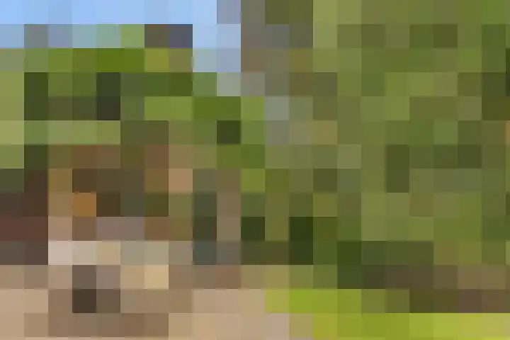 Vosseveldlaan 41 A Soest thumbnail 5