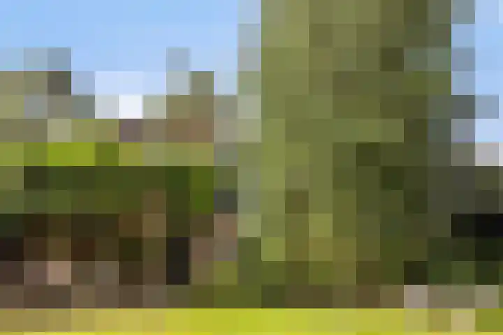 Vosseveldlaan 41 A Soest thumbnail 6