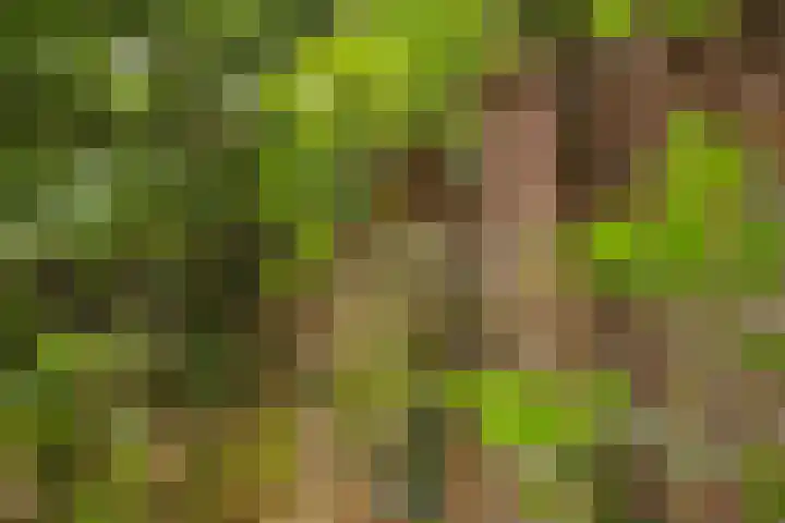 Vosseveldlaan 41 A Soest thumbnail 7