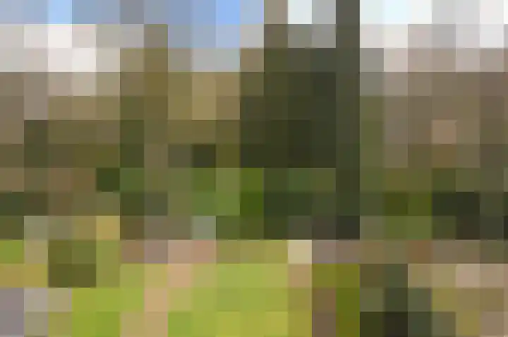 Vosseveldlaan 51 Soest thumbnail 28