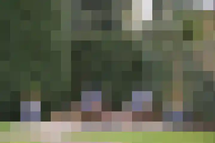 Vosseveldlaan 51 Soest thumbnail 29