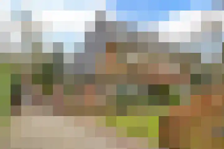 Vosseveldlaan 51 Soest thumbnail 30