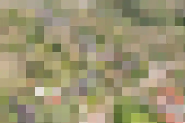 Vosseveldlaan 51 Soest thumbnail 34