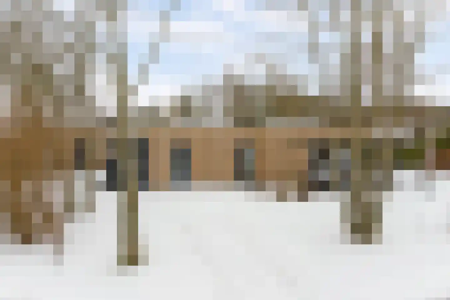 Vosseveldseweg 15 06a Winterswijk Kotten thumbnail 26