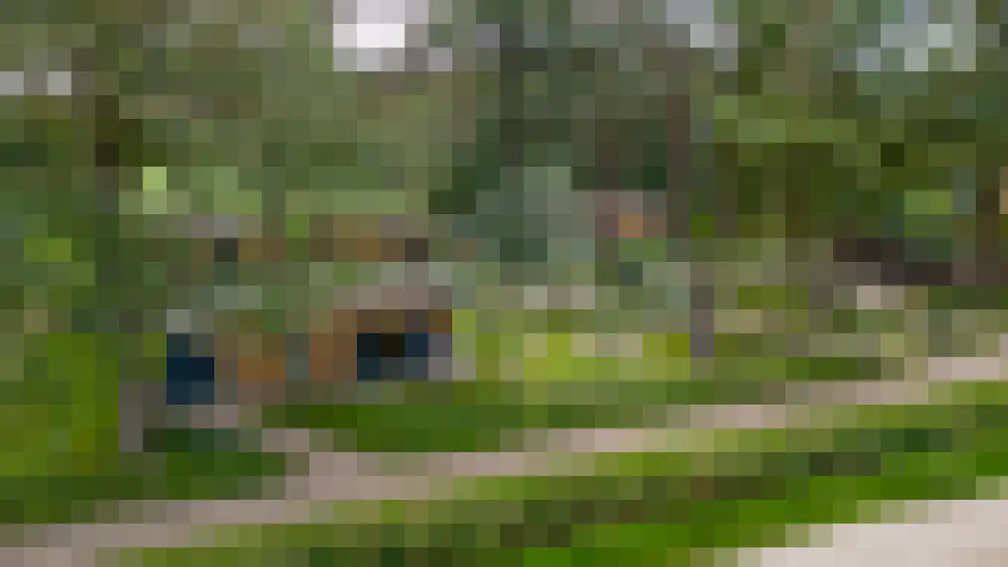 Vosseveldseweg 15 120 Winterswijk Kotten thumbnail 21