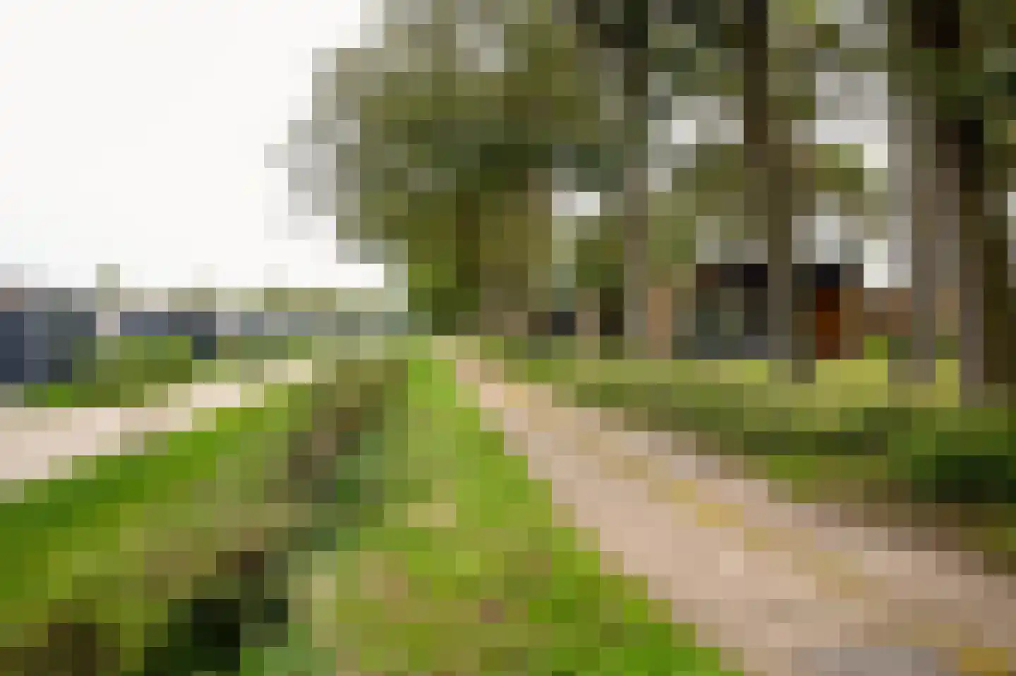 Vosseveldseweg 15 120 Winterswijk Kotten thumbnail 23
