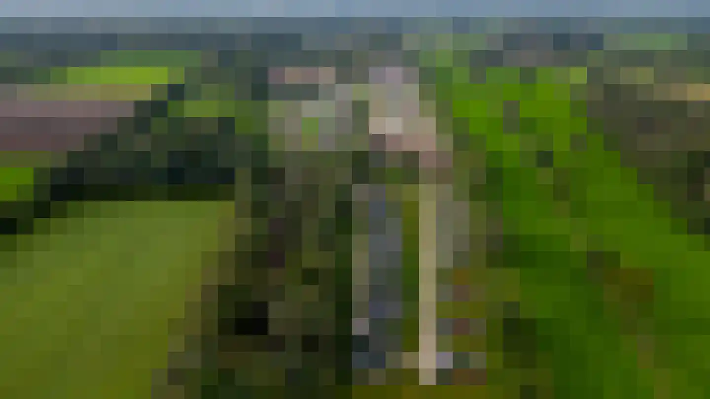 Vosseveldseweg 15 120 Winterswijk Kotten thumbnail 25