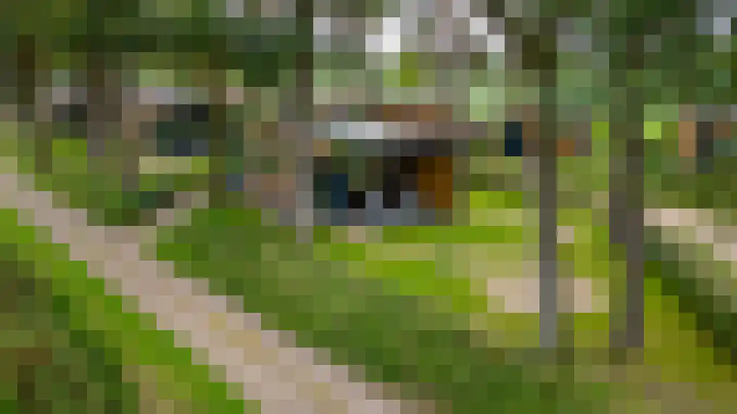 Vosseveldseweg 15 120 Winterswijk Kotten thumbnail 4