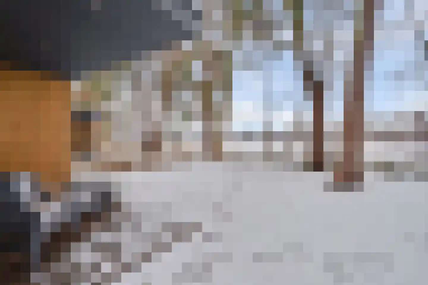 Vosseveldseweg 15 134 Winterswijk Kotten thumbnail 20