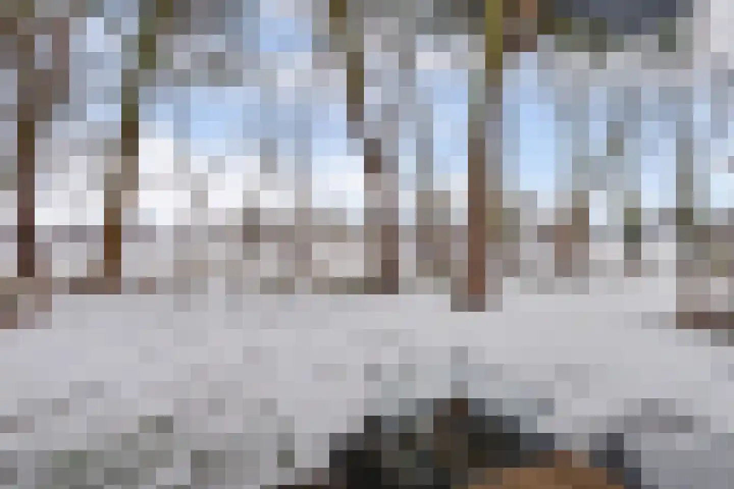 Vosseveldseweg 15 134 Winterswijk Kotten thumbnail 21
