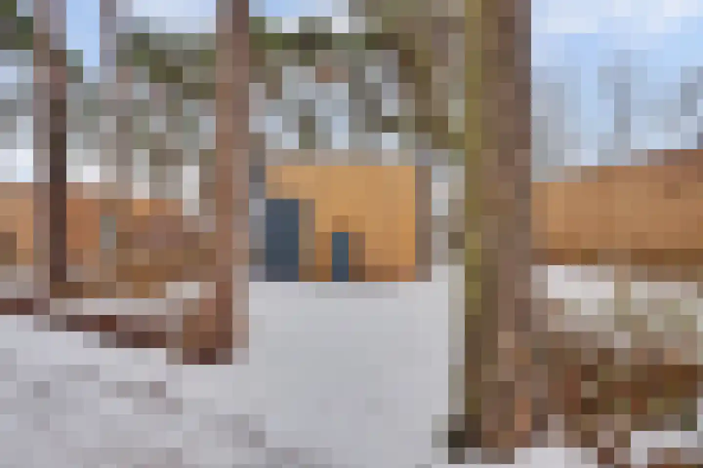 Vosseveldseweg 15 134 Winterswijk Kotten thumbnail 22