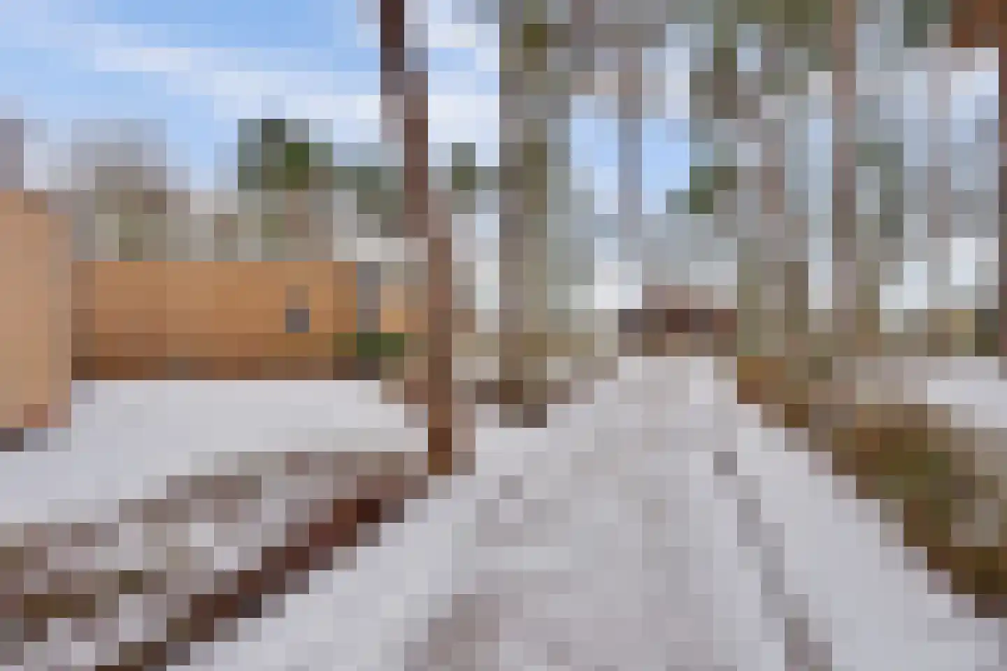 Vosseveldseweg 15 134 Winterswijk Kotten thumbnail 7
