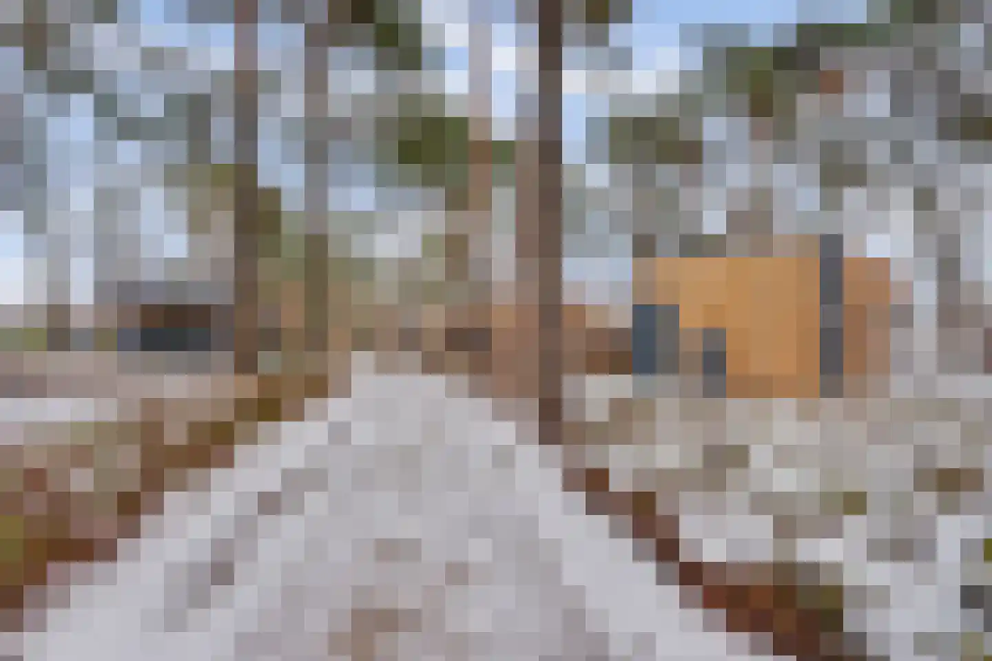 Vosseveldseweg 15 134 Winterswijk Kotten thumbnail 8