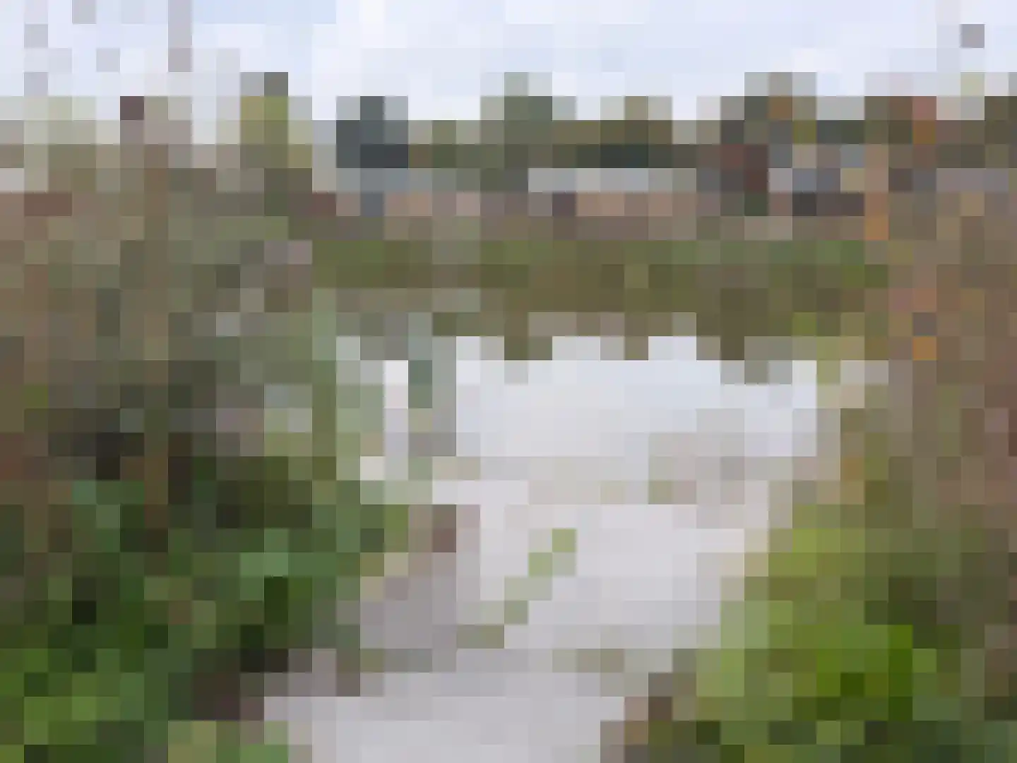 Vosseveldseweg 15 192 Winterswijk Kotten thumbnail 11