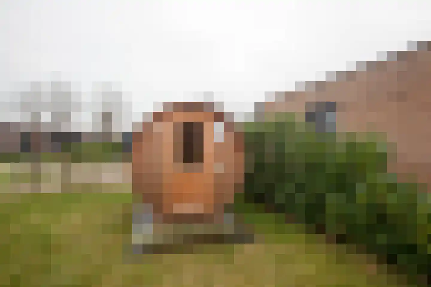 Vosseveldseweg 15 84 Winterswijk Kotten thumbnail 8