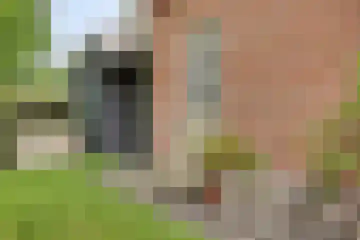 Vosseveldseweg 15 Winterswijk Kotten thumbnail 31