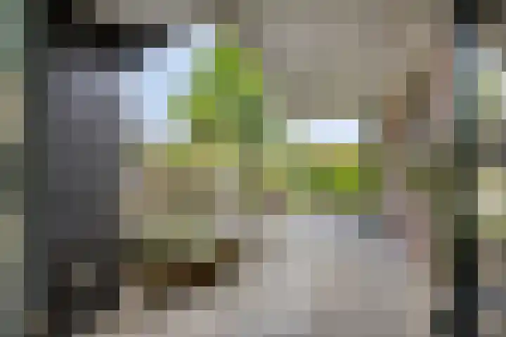 Vosseveldseweg 15 Winterswijk Kotten thumbnail 32