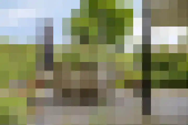 Vosseveldseweg 15 Winterswijk Kotten thumbnail 33