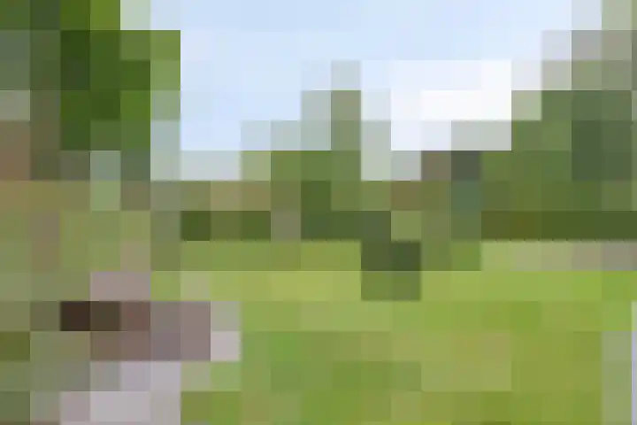 Vosseveldseweg 15 Winterswijk Kotten thumbnail 35