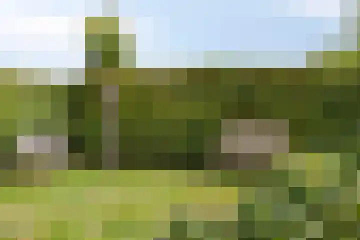 Vosseveldseweg 15 Winterswijk Kotten thumbnail 37