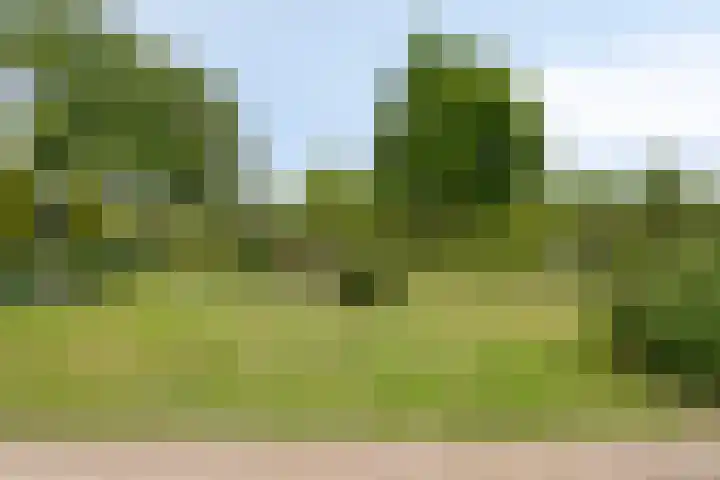 Vosseveldseweg 15 Winterswijk Kotten thumbnail 38