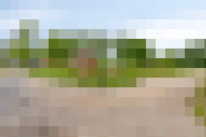 Vosseveldseweg 15 Winterswijk Kotten thumbnail 39