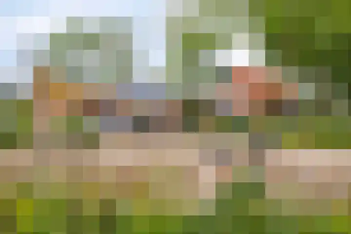 Vosseveldseweg 15 Winterswijk Kotten thumbnail 44