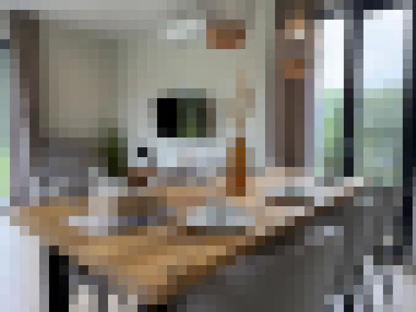 Vosseveldseweg 8 117 Winterswijk Kotten thumbnail 16