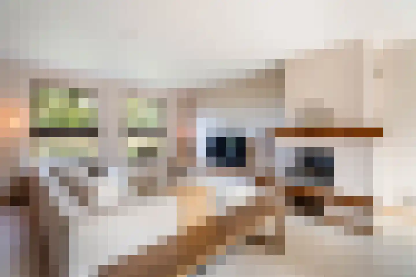 Vosseweg 23 Weert thumbnail 14