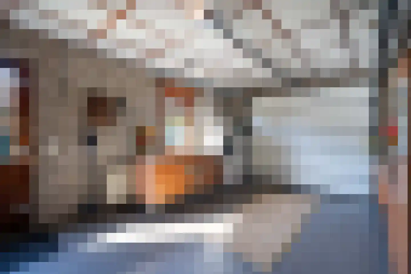 Vosseweg 23 Weert thumbnail 34