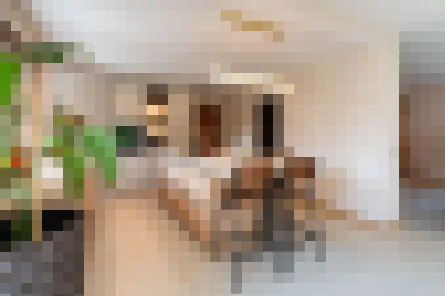 Vosseweg 23 Weert thumbnail 4