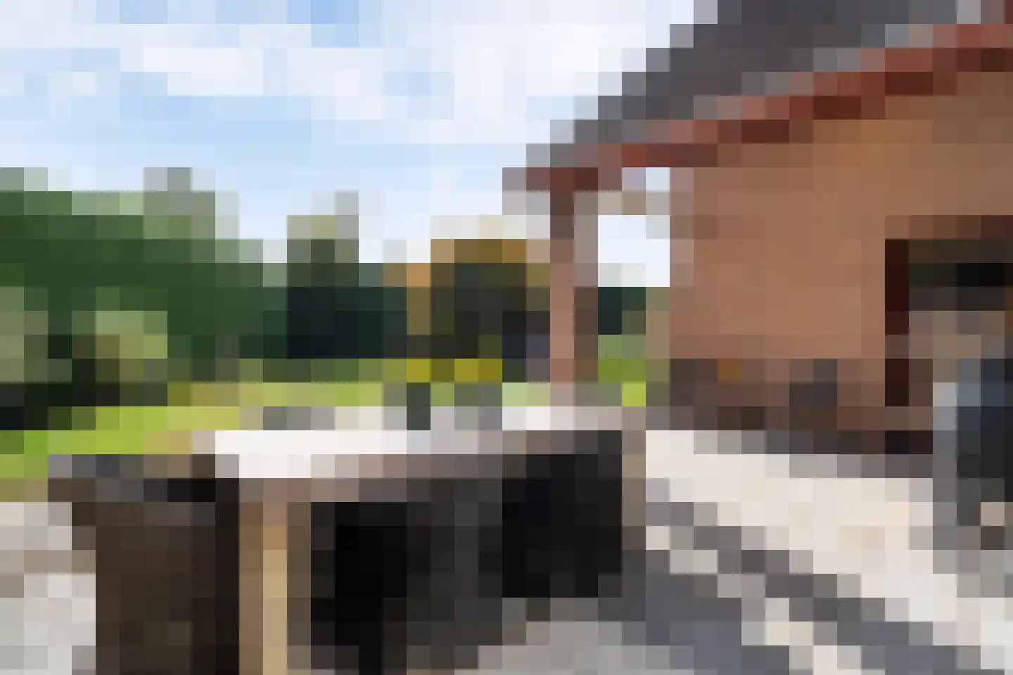 Vosseweg 23 Weert thumbnail 58